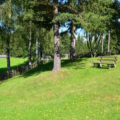 Gentian meadow to linger