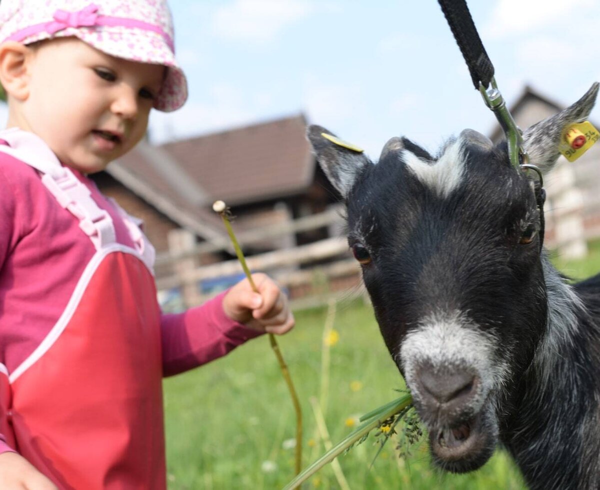 A child engages with a goat in the Farm House's outdoor area, providing outdoor adventures for young guests.