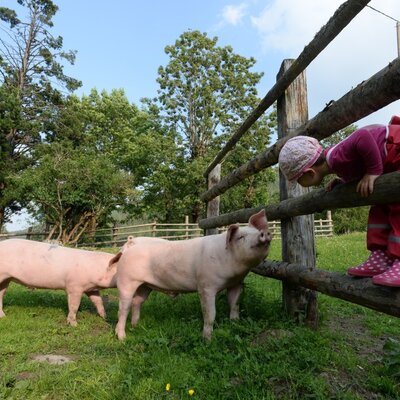 Moritz and Anton greet Teodora at the fence :)