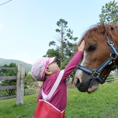 A child petting a horse on the grounds of the Farm House.