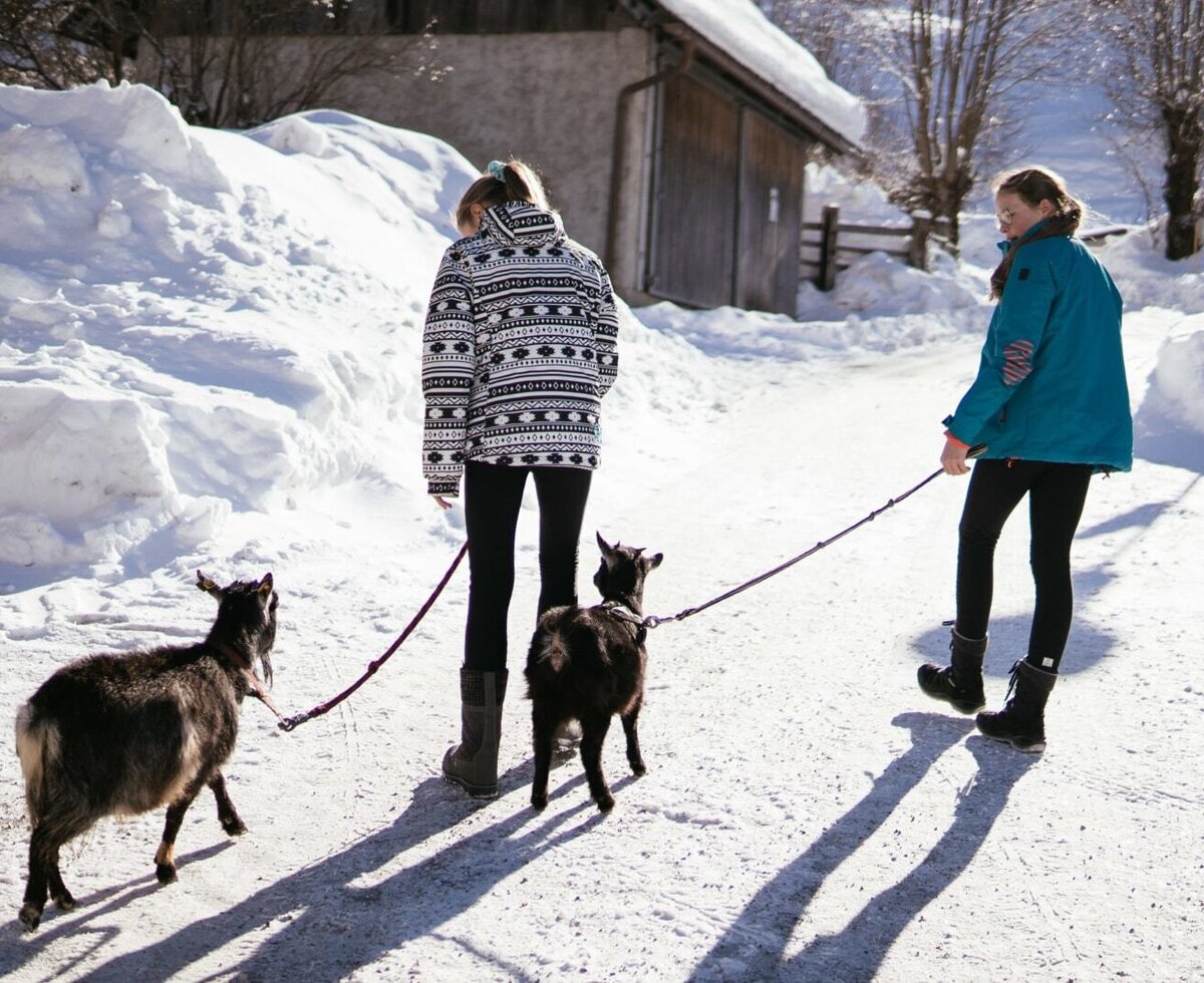Two children walking goats on leashes in the snow at the Farm House, highlighting available outdoor activities.