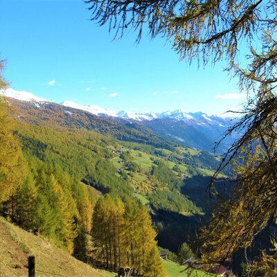 View over the Möll Valley