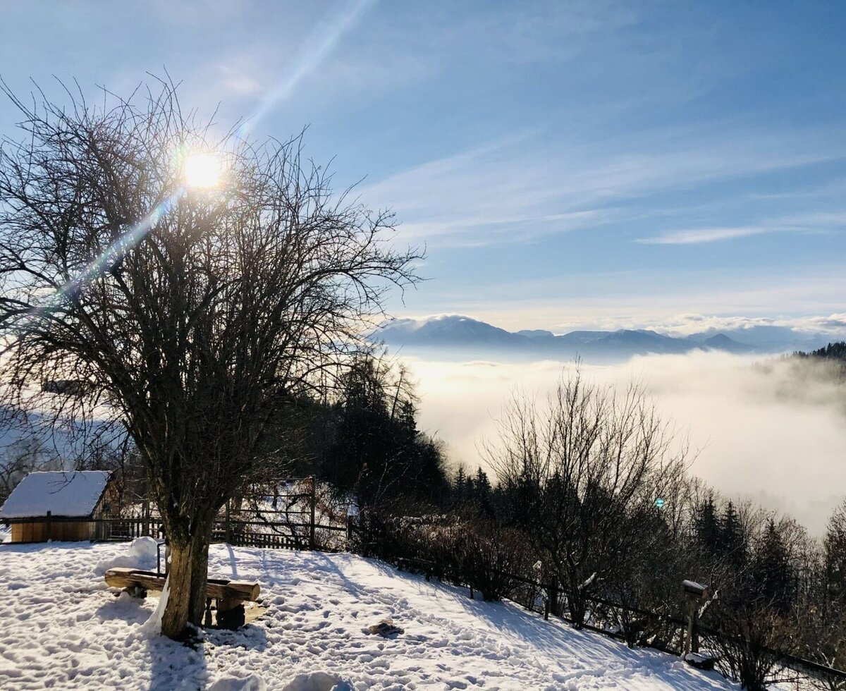 The vacation rental's snow-covered grounds, featuring a wooden bench and a distant view of mountains above the cloud inversion.