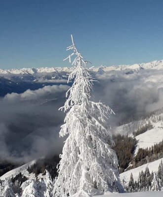 Winter landscape around the farmhouse, featuring a snow-covered tree and mountain peaks above the clouds.