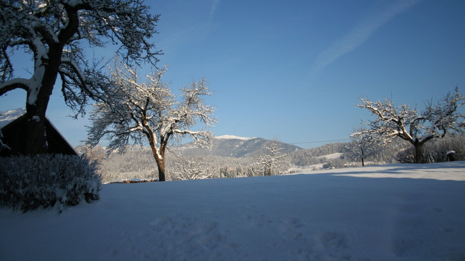 View behind the house
