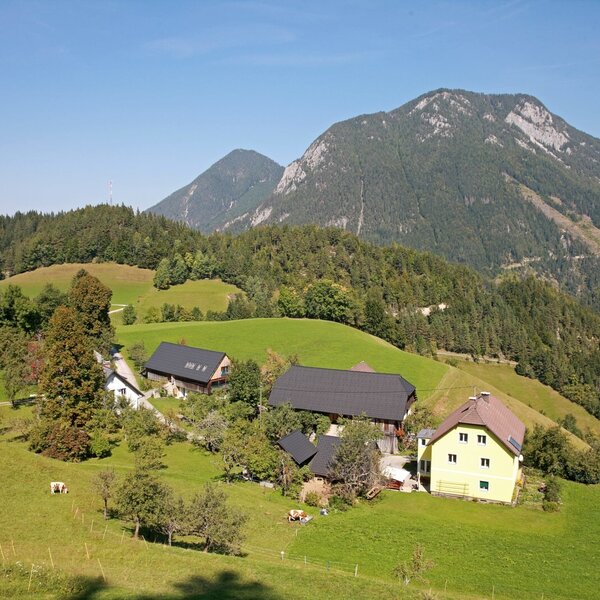 The farmhouse is situated on green hills and forests with mountains in the background and cows grazing in the pasture.