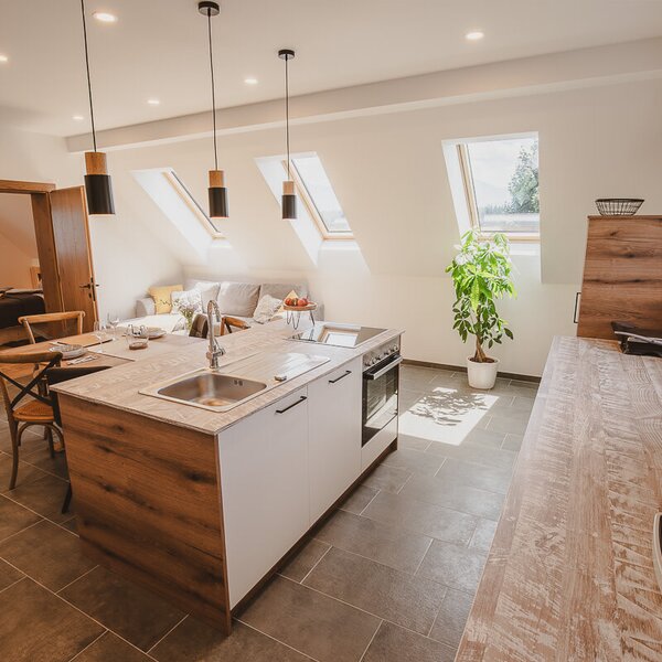 The farm house features an open-plan kitchen with an island and integrated appliances, a dining area, and a bright living space with multiple skylight windows.