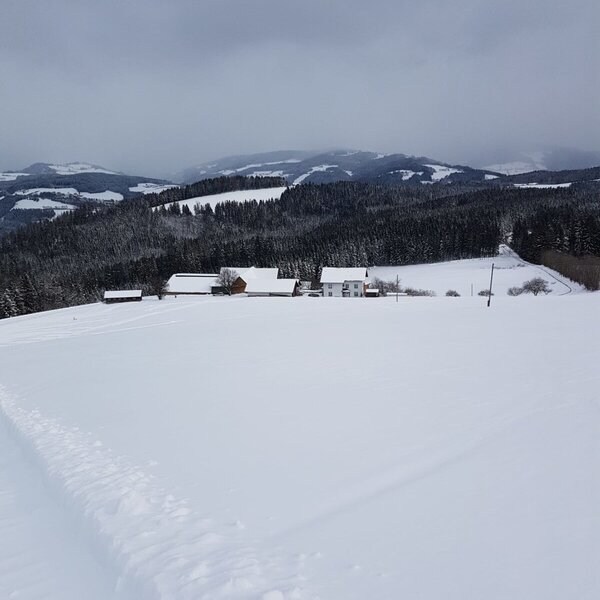 Winter Winter