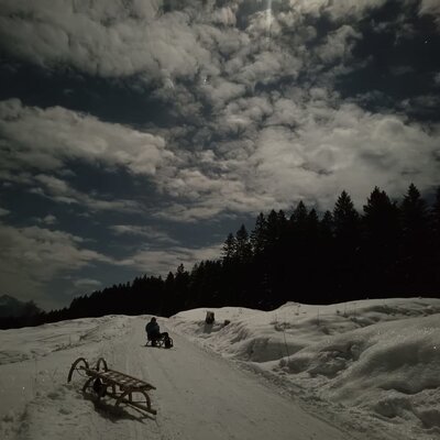 Winter night scene with moonlight, forest, and sledding at the farmhouse.