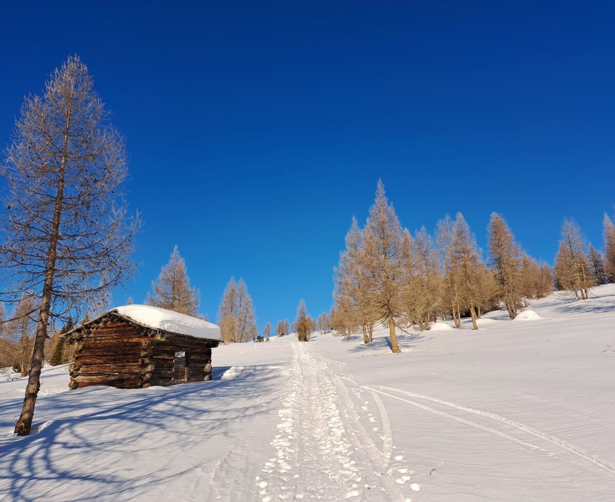 A rustic wooden hut in the snow-covered winter landscape of the farmhouse under a clear blue sky.