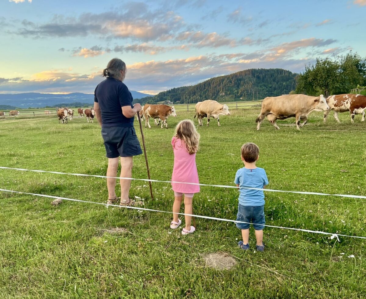 Watching cows in the farmhouse pasture.