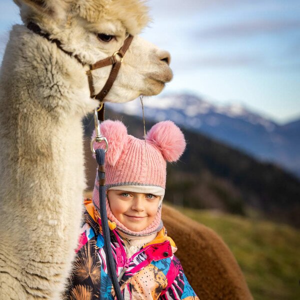 Alpaca experience for children at the farmhouse with mountain views.