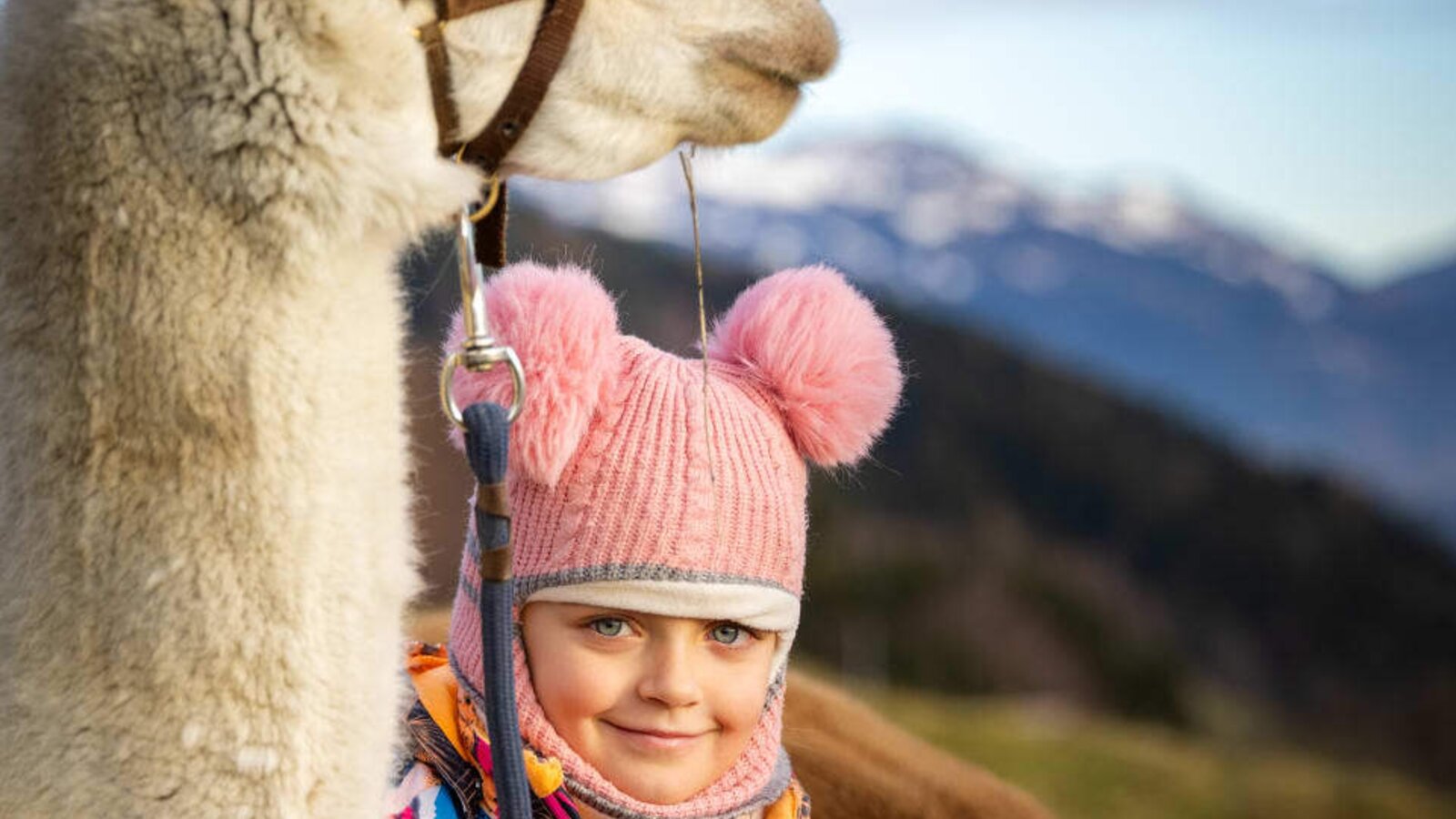 Alpaca experience for children at the farmhouse with mountain views.