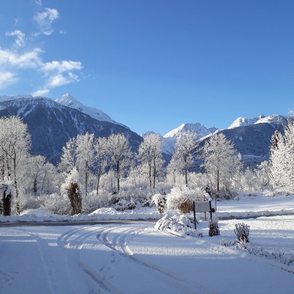 Winter view from the Farm House, featuring snow-covered trees and mountains under a clear blue sky. Winter view from the Farm House, featuring snow-covered trees and mountains under a clear blue sky.