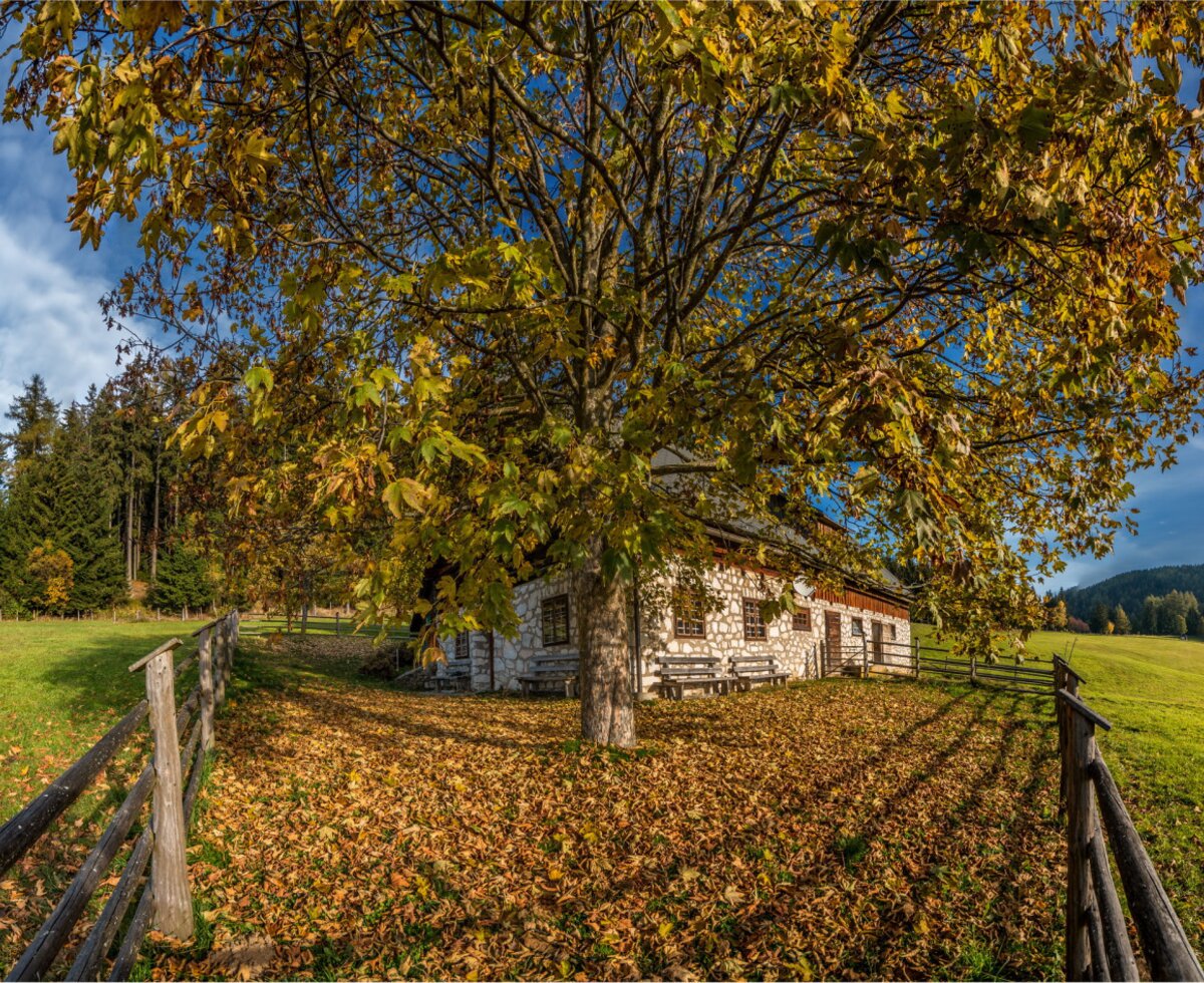 Autumn in Kaltstuben