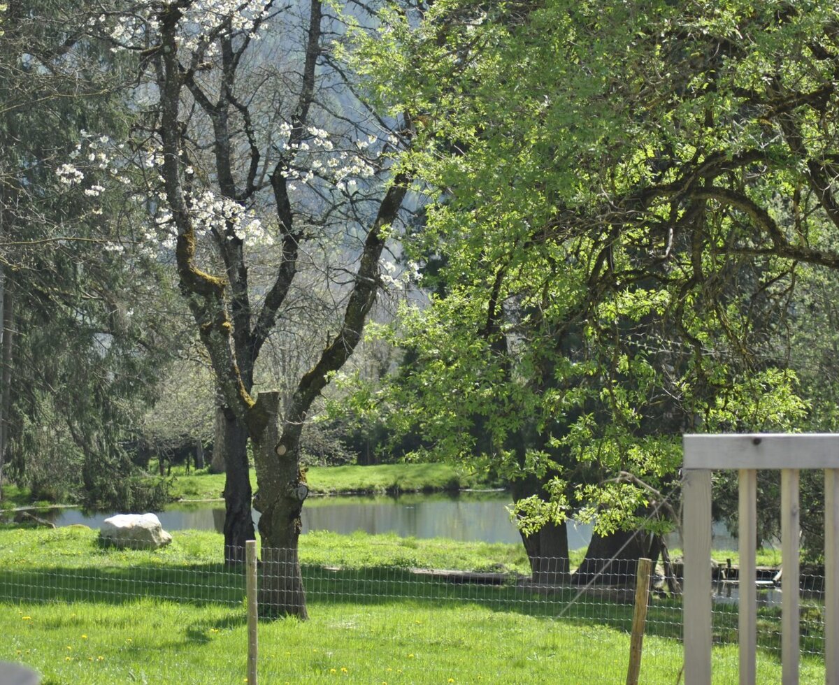 Chalet1888 Surroundings Ponds
