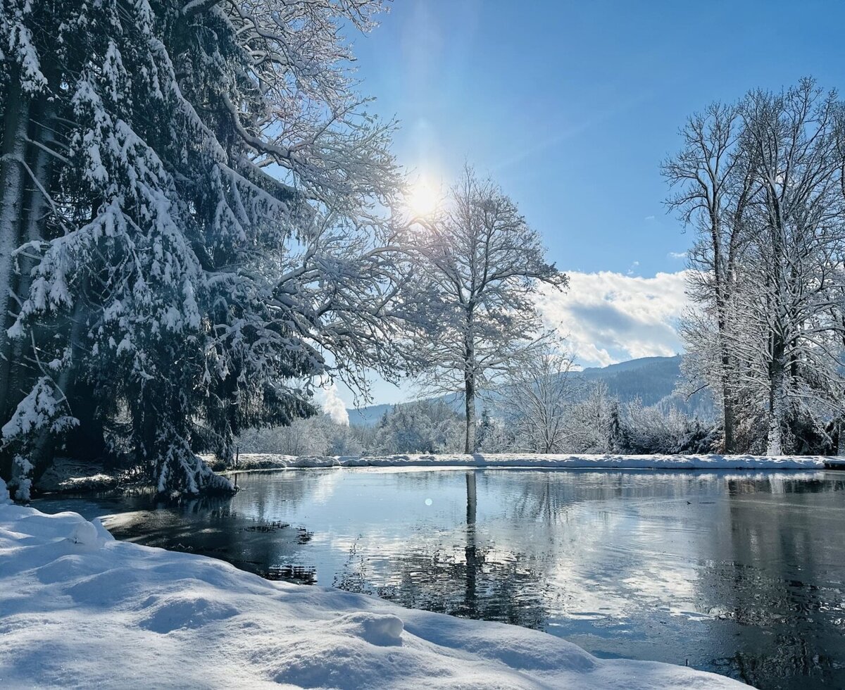 The natural pond at the farmhouse, surrounded by snow-covered trees on a sunny winter day.