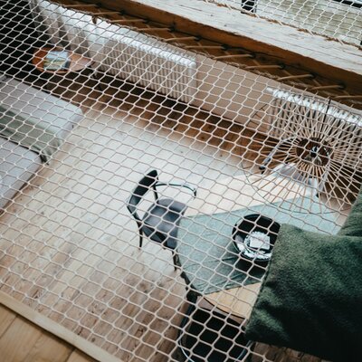 The loft net in the Ferienhaus with green cushions, offering a view of the open living area below.