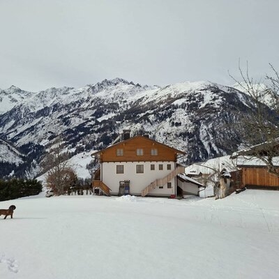 The farmhouse in a snowy mountain landscape with a dog in the foreground.