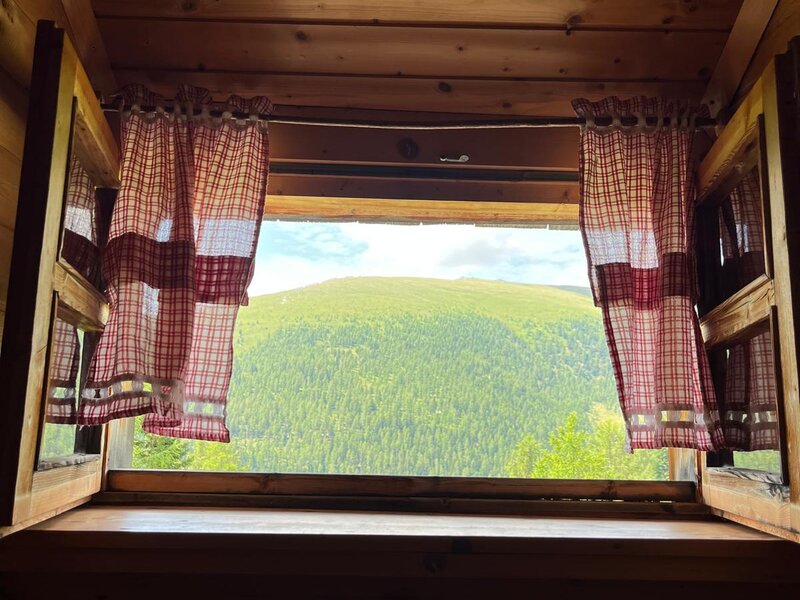 Window in the Alpine Hut, framed by wooden walls and checkered curtains, offering a view of forested mountains.