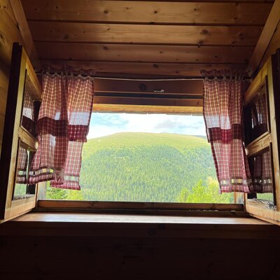 Window in the Alpine Hut, framed by wooden walls and checkered curtains, offering a view of forested mountains.