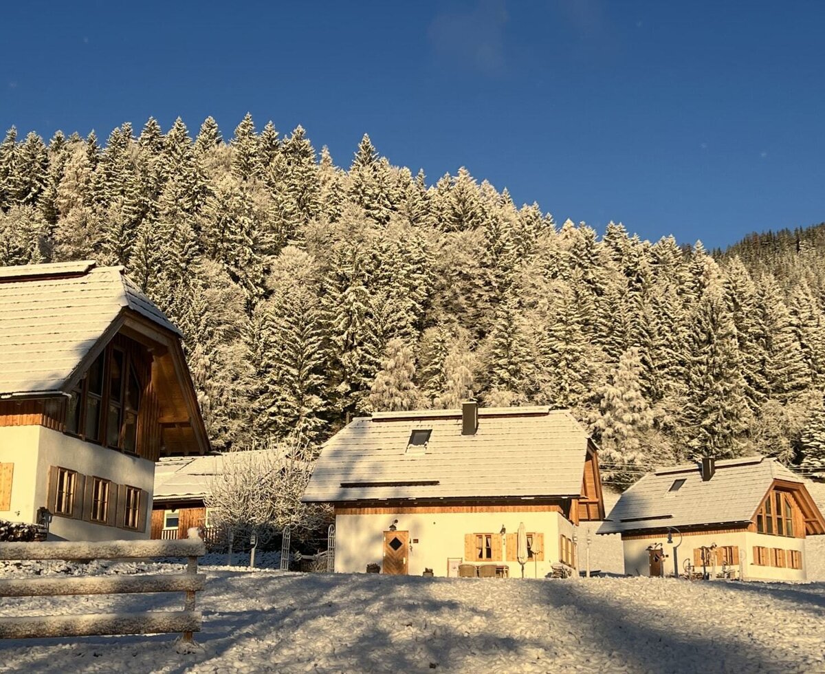The farmhouse in winter, with snow-covered roofs and a snowy forest in the background.
