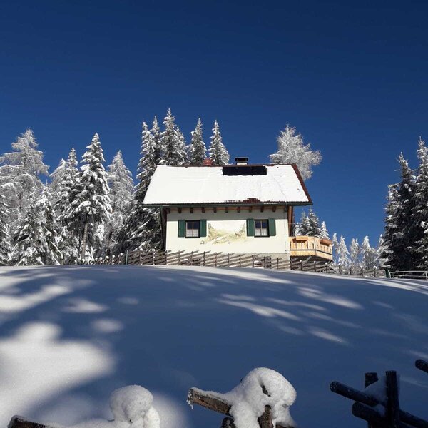 The Alpine Hut in a winter setting, featuring a snow-covered roof, green shutters, and a balcony, surrounded by snowy trees and a wooden fence.
