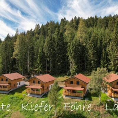 Four individual wooden Farm House units situated on a grassy slope next to a dense forest.