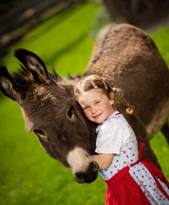 My donkey Lupo