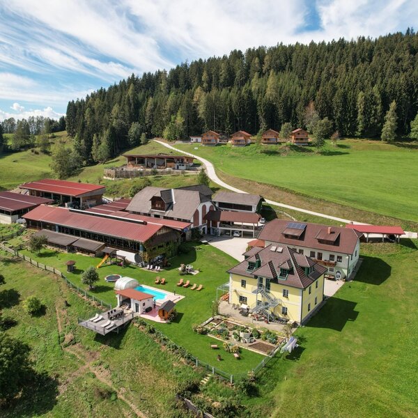 Experience farm Steinerhof with Hochleben Chalets