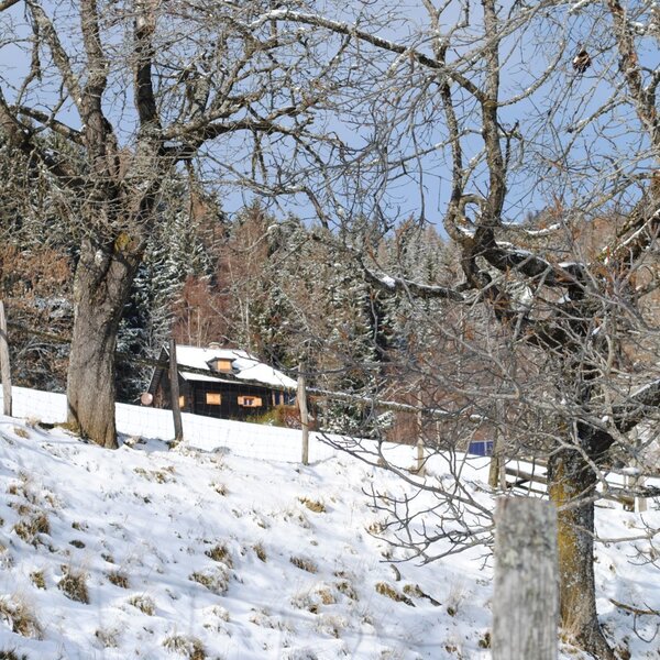 The Alpine Hut in a snowy winter landscape, featuring illuminated windows and surrounding trees.