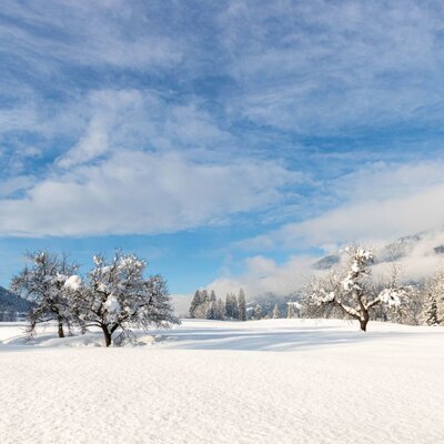 The winter landscape around the Farm House, with snow-covered fields, trees, and distant mountains.