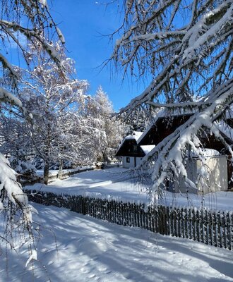 The Alm in winter, surrounded by snow-covered trees and a wooden fence.