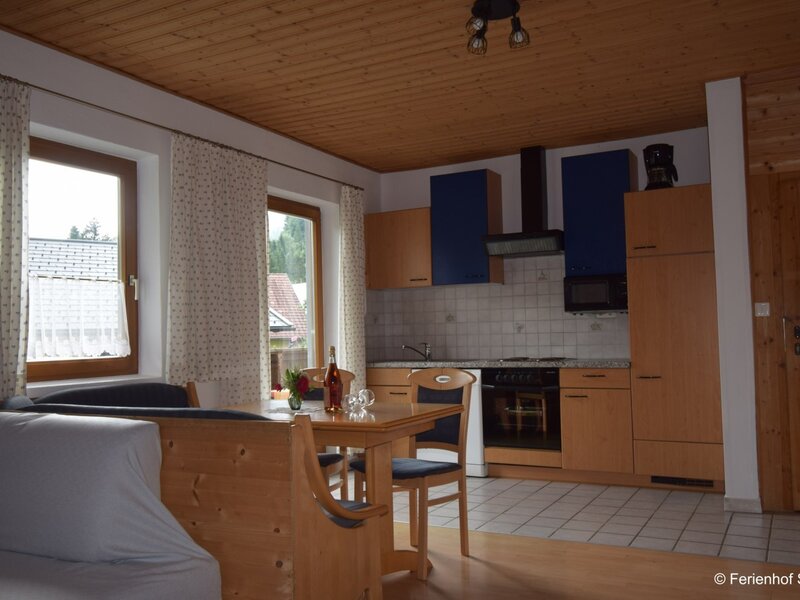 Kitchen - apartment Reißkofel