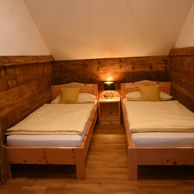 Bedroom in the Ferienwohnung with two single beds, wooden walls, and a nightstand with a lamp.