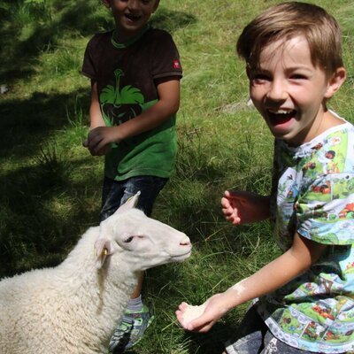 Children interacting with and feeding a sheep at the farm house.