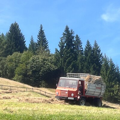 A red farm utility vehicle carrying hay in the fields of the organic Farm House.