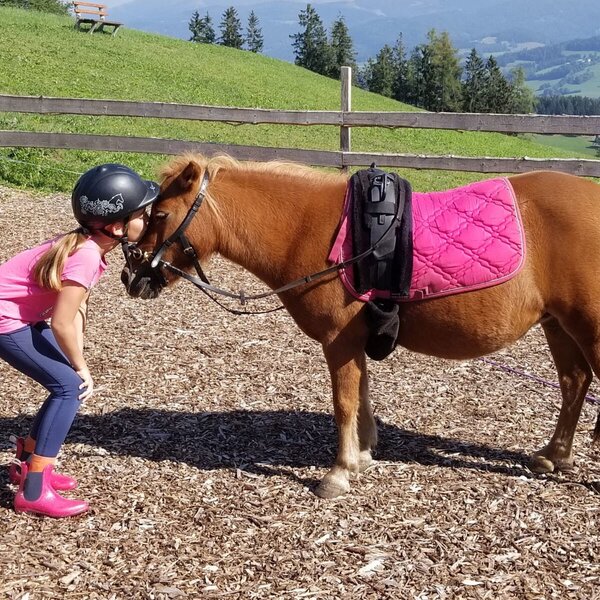 A child wearing a riding helmet interacts with one of the ponies at the farm house.