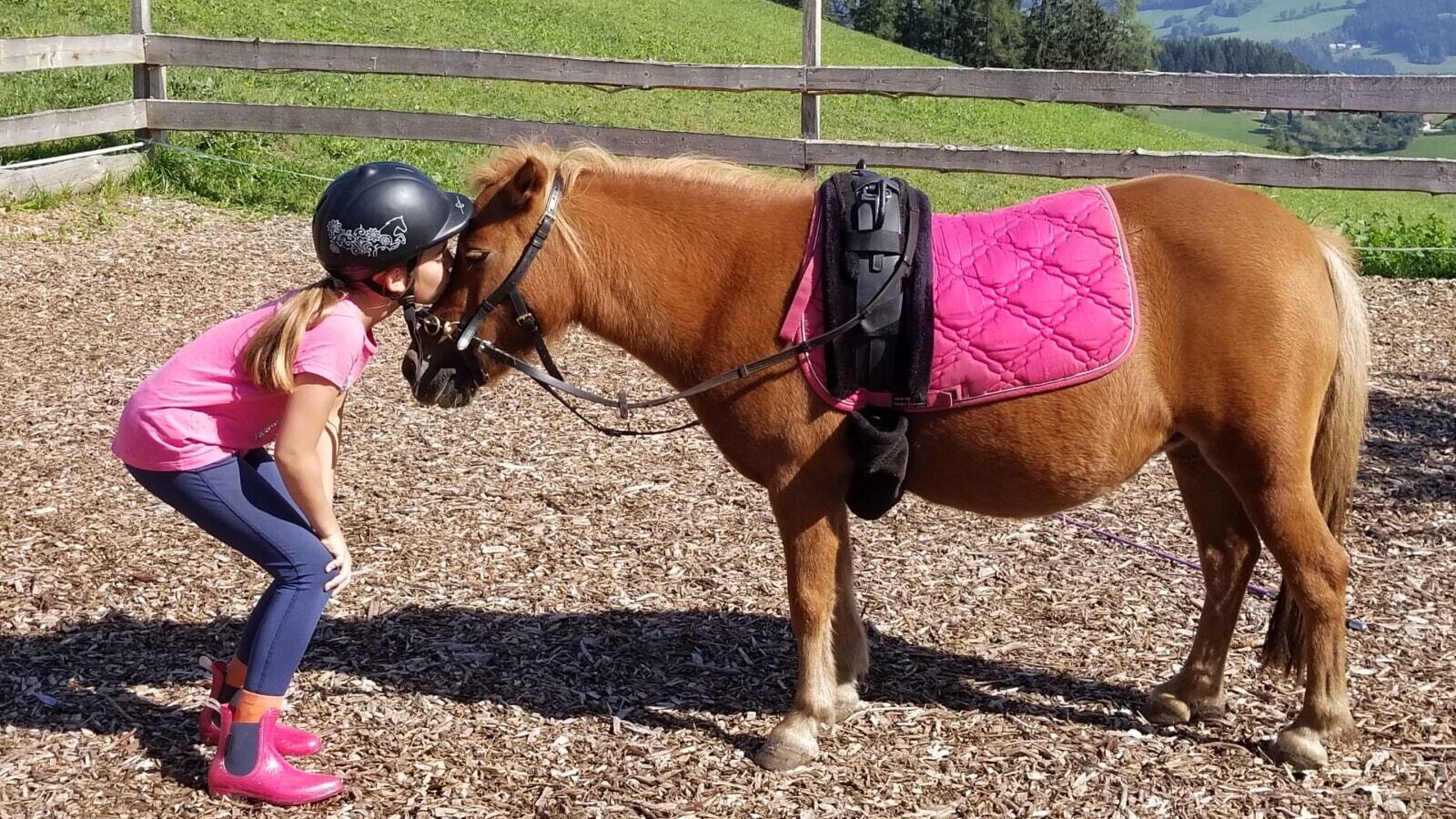 A child wearing a riding helmet interacts with one of the ponies at the farm house.