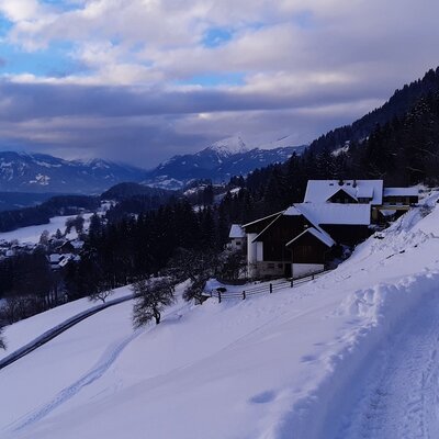 Snow and Winter at the lake!