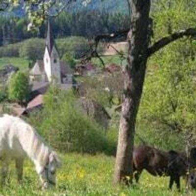 Our ponies Lilli and Anabell!