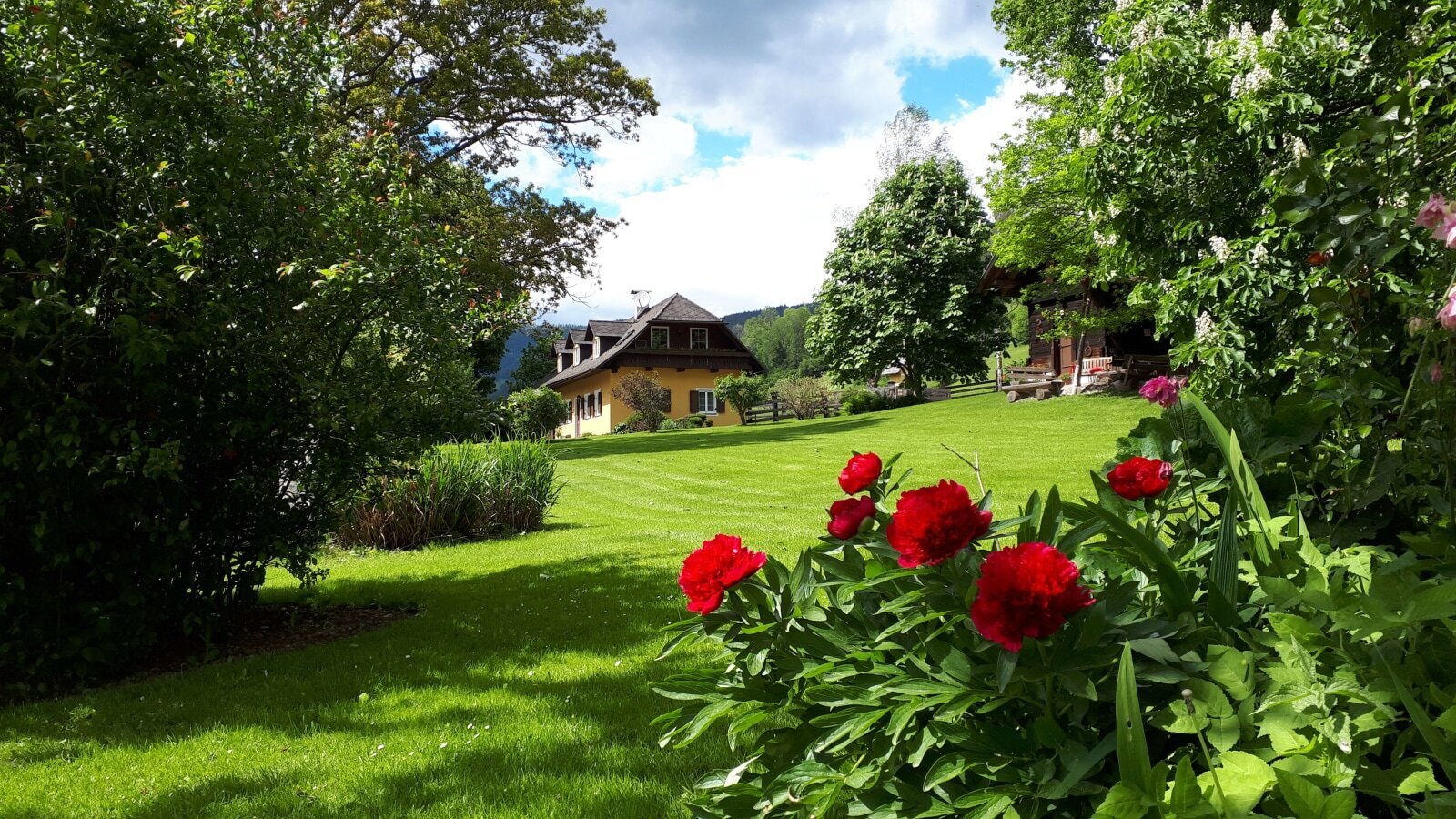 The spacious lawn and garden area of the Farm House, with blooming red flowers in the foreground and surrounding trees.