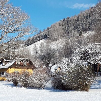 The yellow farm house amidst snow-covered trees and a forested mountain under a clear blue sky.