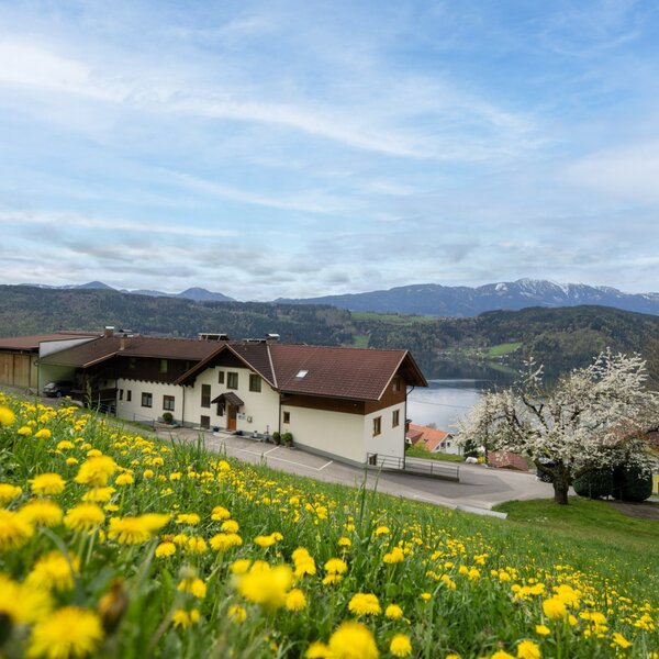 House view with lake view