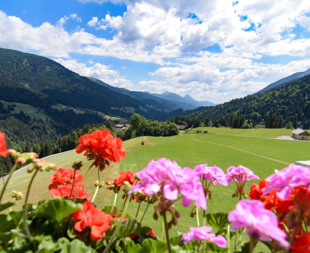 The farmhouse's scenic view of lush green meadows and the impressive Lesachtal mountains, framed by vibrant geraniums.