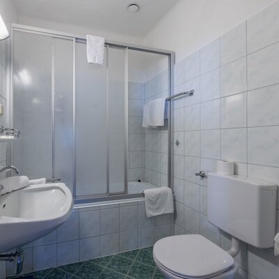 Bathroom in the farmhouse with a sink, toilet, and shower cabin over the bathtub.