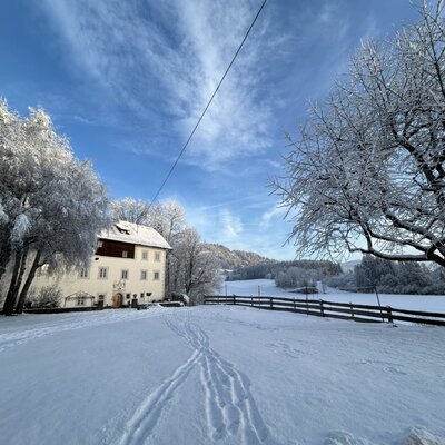 The historic farmhouse in winter, surrounded by snow-covered meadows and trees under a clear blue sky.