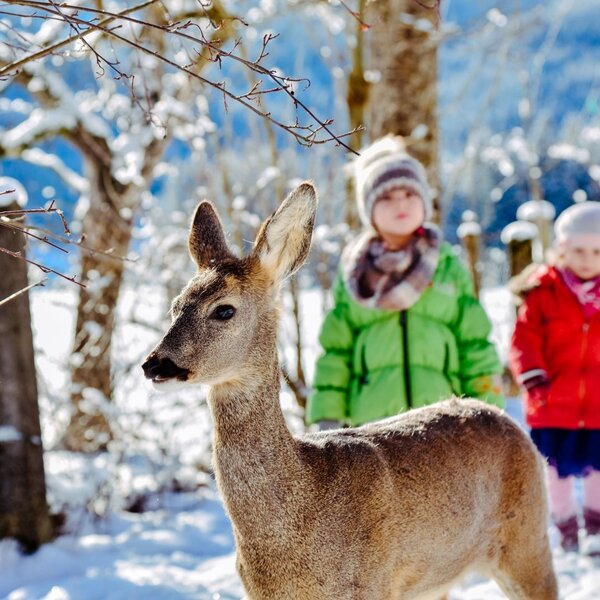 Children observe a deer in the snowy winter landscape surrounding the farmhouse. Children observe a deer in the snowy winter landscape surrounding the farmhouse.