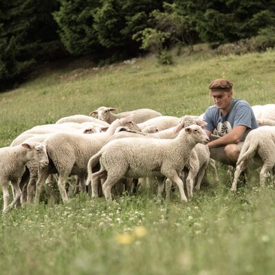Christoph Höfer among a flock of sheep in the field of the Ferienhaus.