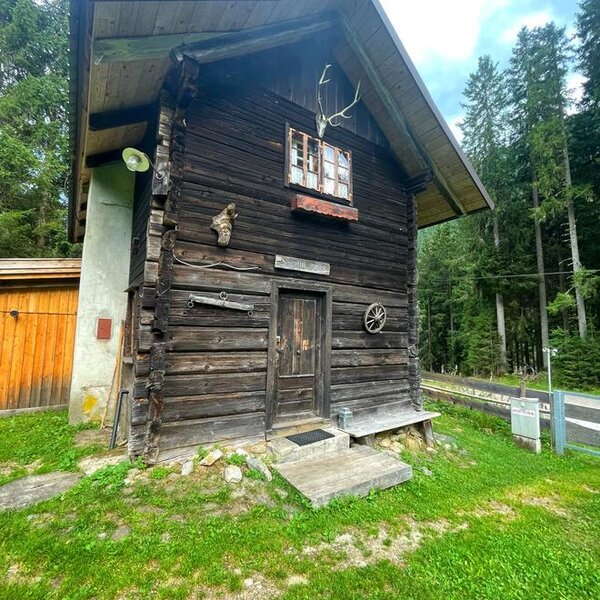 A rustic Alm featuring a traditional log facade, surrounded by a green lawn and dense forest.